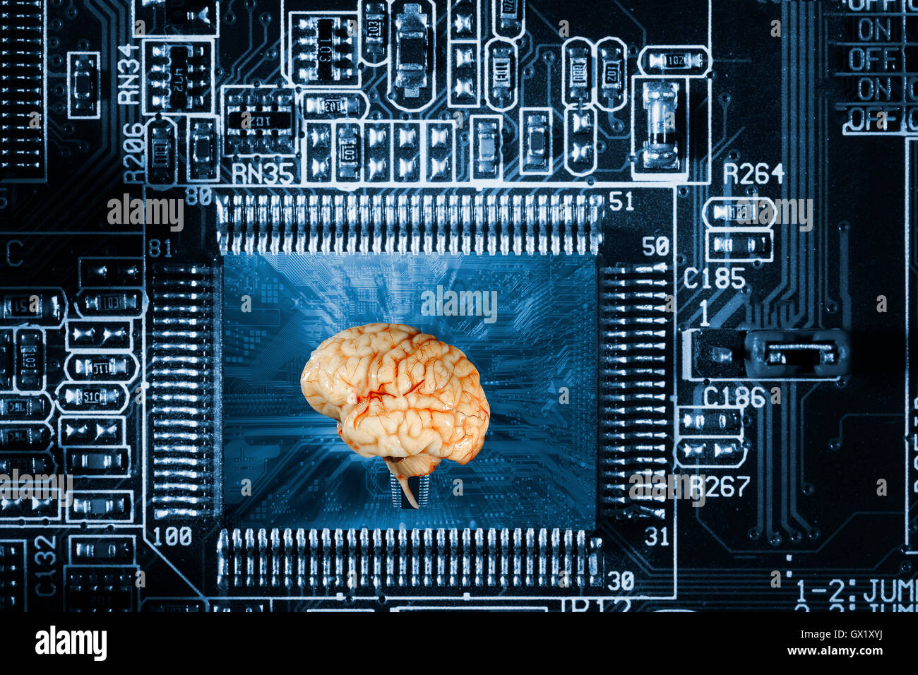 menschliche Gehirn und computergestützte Kommunikation Stockfoto