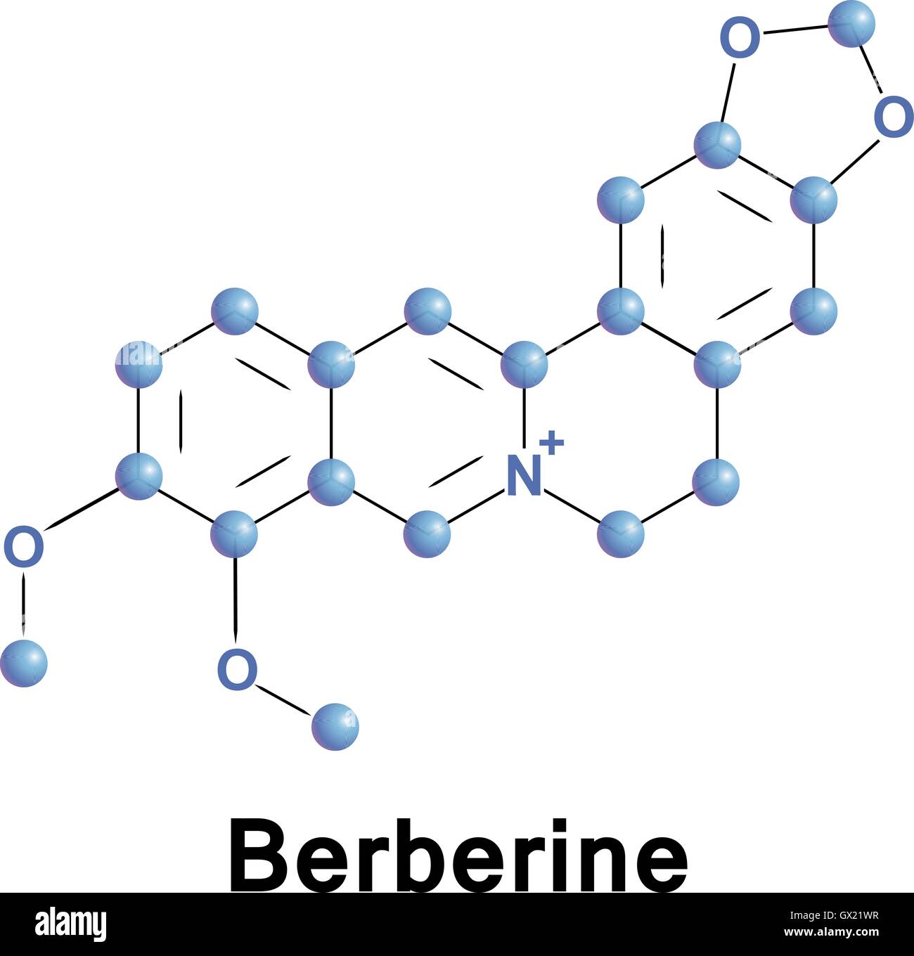 Berberin ist ein quartäres Ammoniumsalz Protoberberine Gruppe von Benzylisoquinoline Alkaloide. Verwendung zum Färben von Wolle, Leder, und Stock Vektor