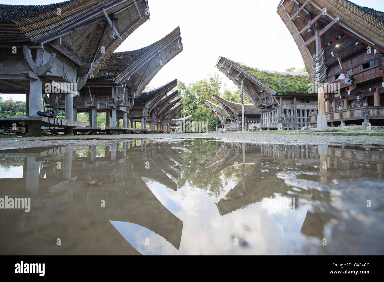 Tongkonan Häuser, traditionelle Toraja Gebäude und Haus befindet sich am Ke'Te Kesu Stockfoto