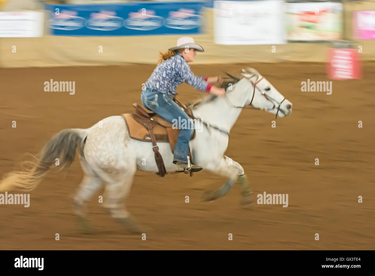 Cowgirl Wettbewerb in einem Fass Pferderennen in einer Reithalle, Tamworth.Australia Stockfoto