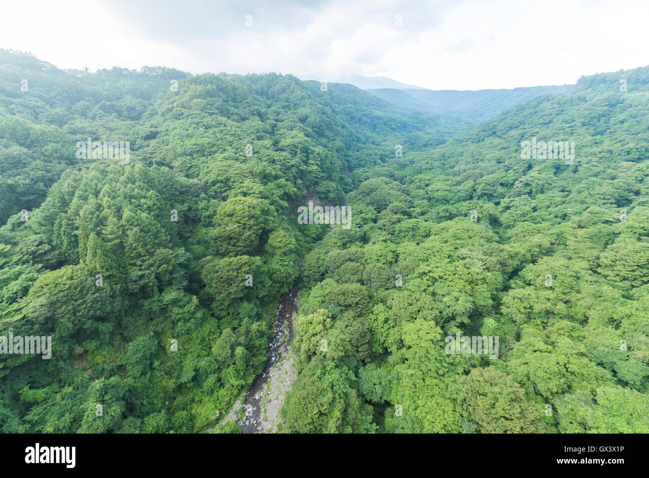 Kawamata Canyon-Blick vom Yatsugatake Kogen Ohashi Brücke, Hokuto Stadt Yamanashi Präfektur, Japan Stockfoto