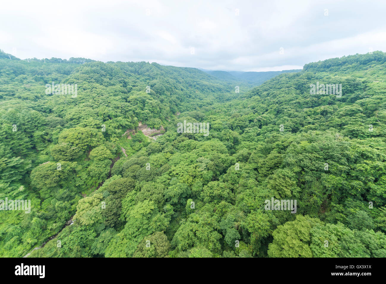 Kawamata Canyon-Blick vom Yatsugatake Kogen Ohashi Brücke, Hokuto Stadt Yamanashi Präfektur, Japan Stockfoto