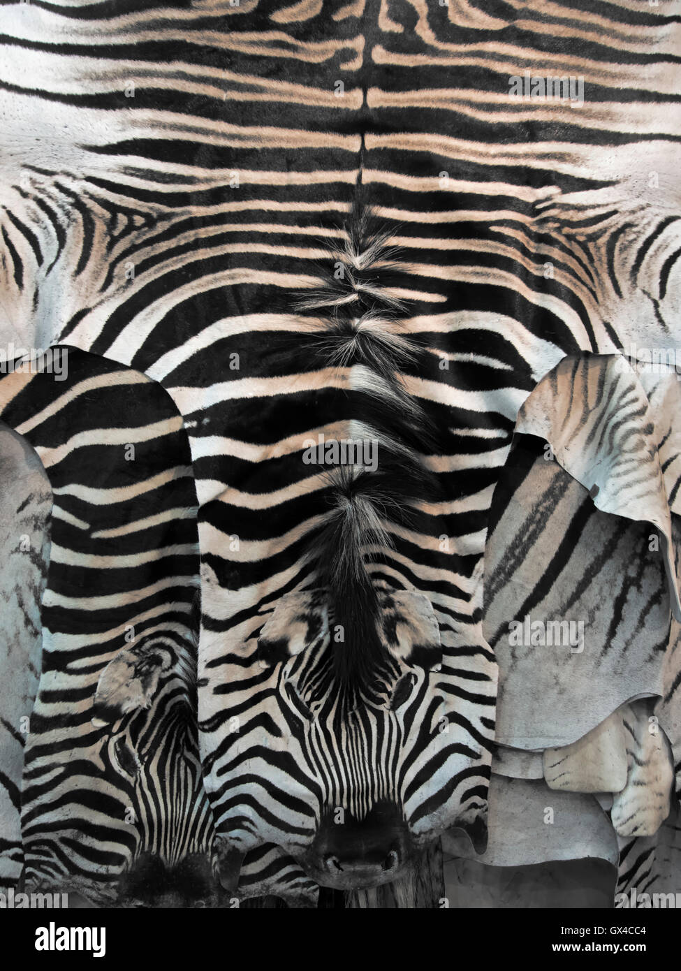 Zebrafell Teppich Stockfoto Bild 119340820 Alamy