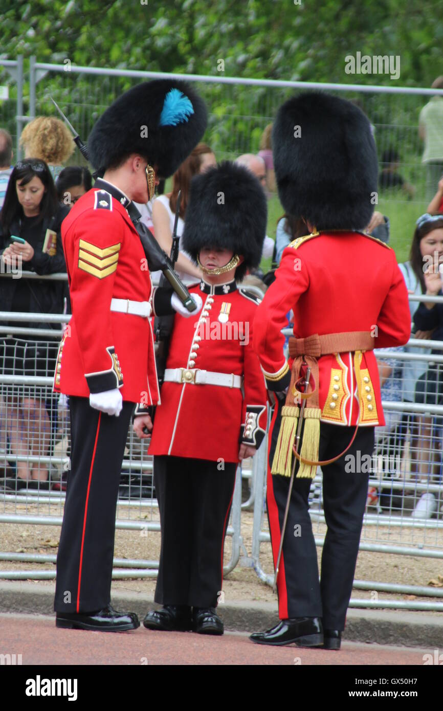 Trooping die Farbe 2016 Stockfoto