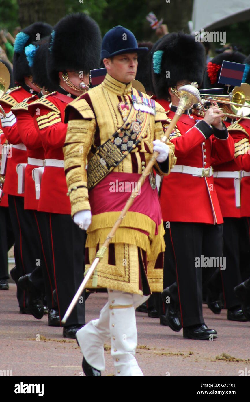 Trooping die Farbe 2016 Stockfoto