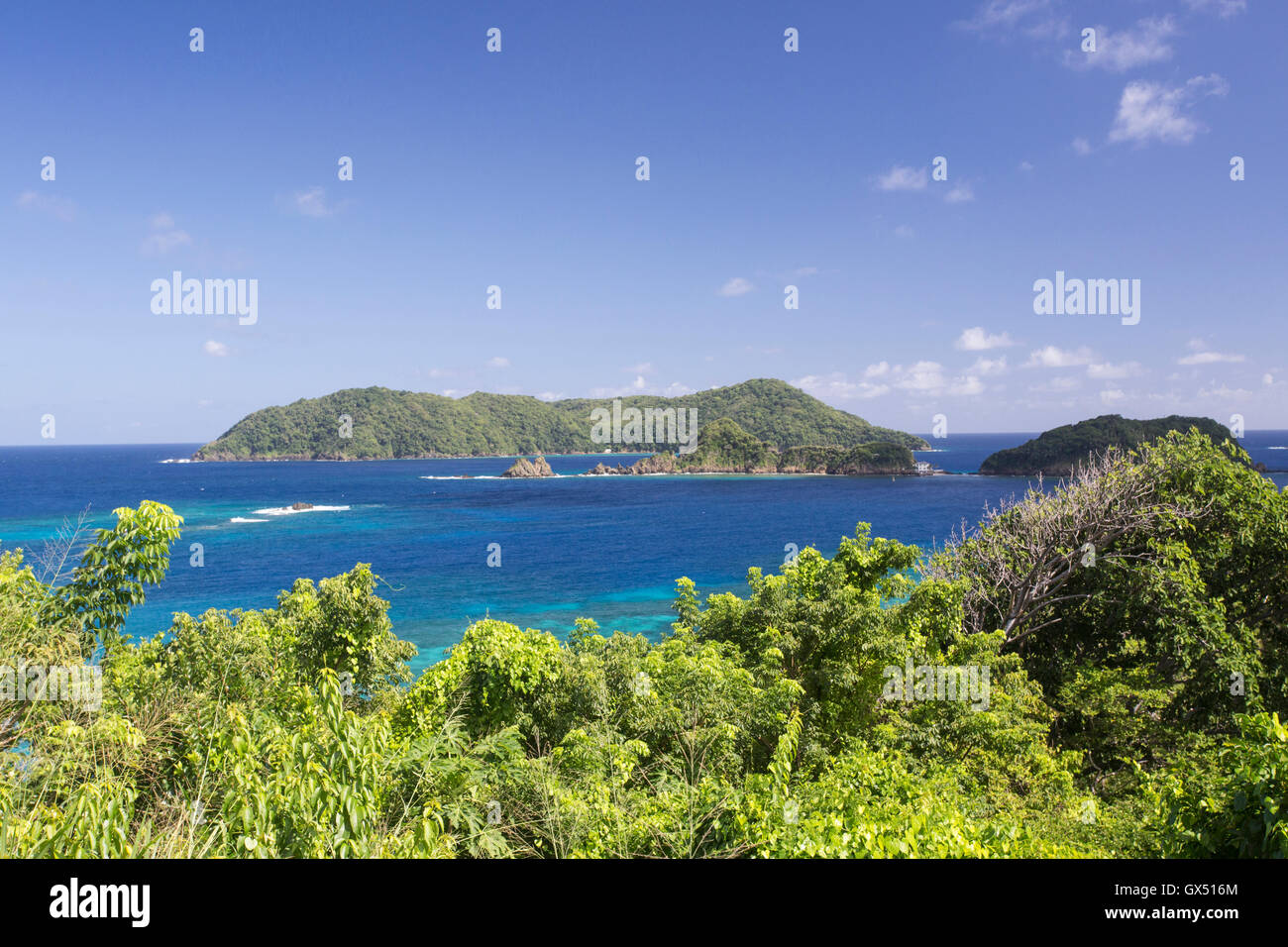 Blick auf Goat Island aus Speyside, nördlichen Tobago, Karibik und Meer und Wald zeigt Stockfoto
