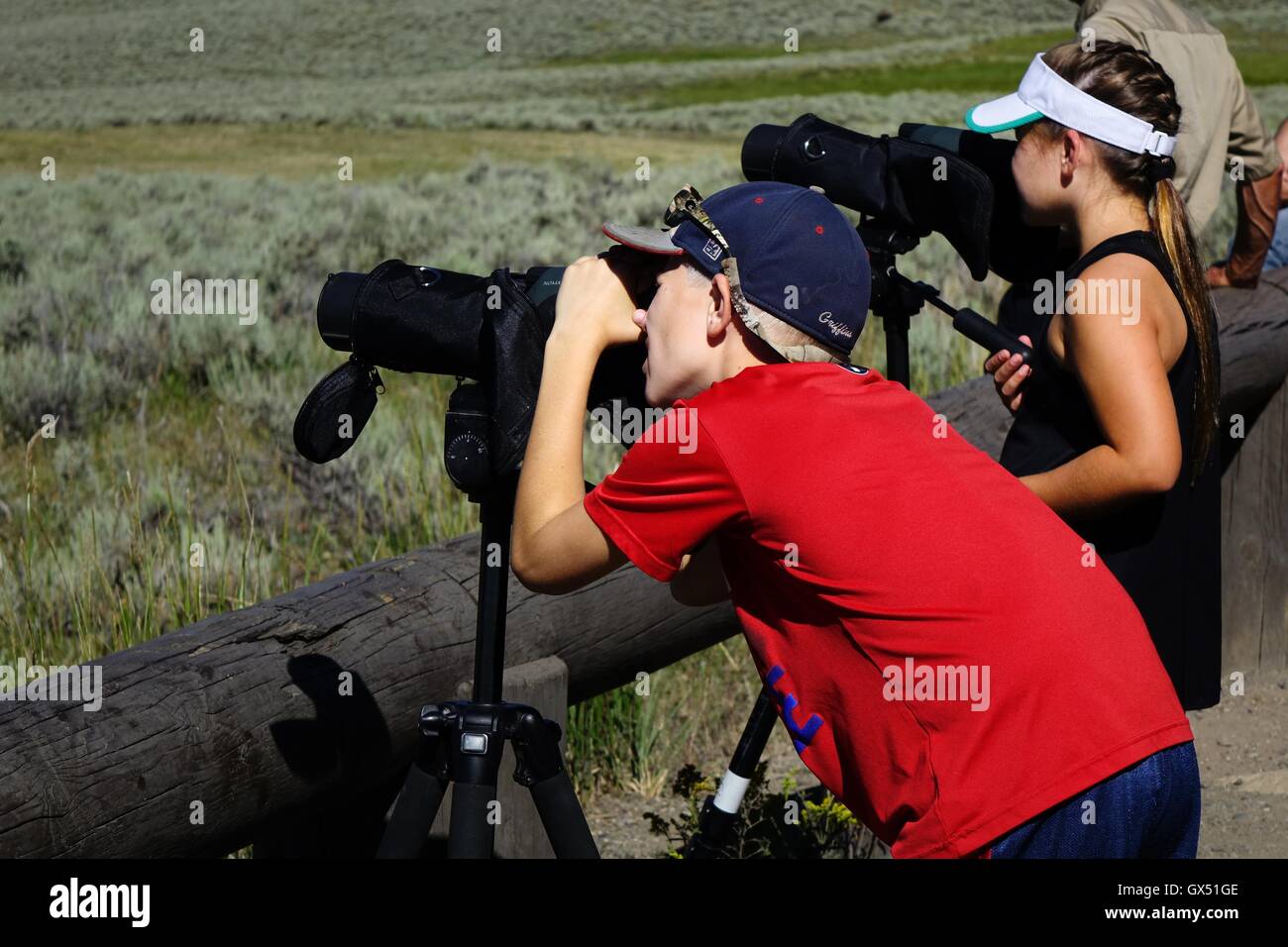 Zwei Jugendliche verwenden Teleskope Tierwelt im Yellowstone National Park ansehen Stockfoto