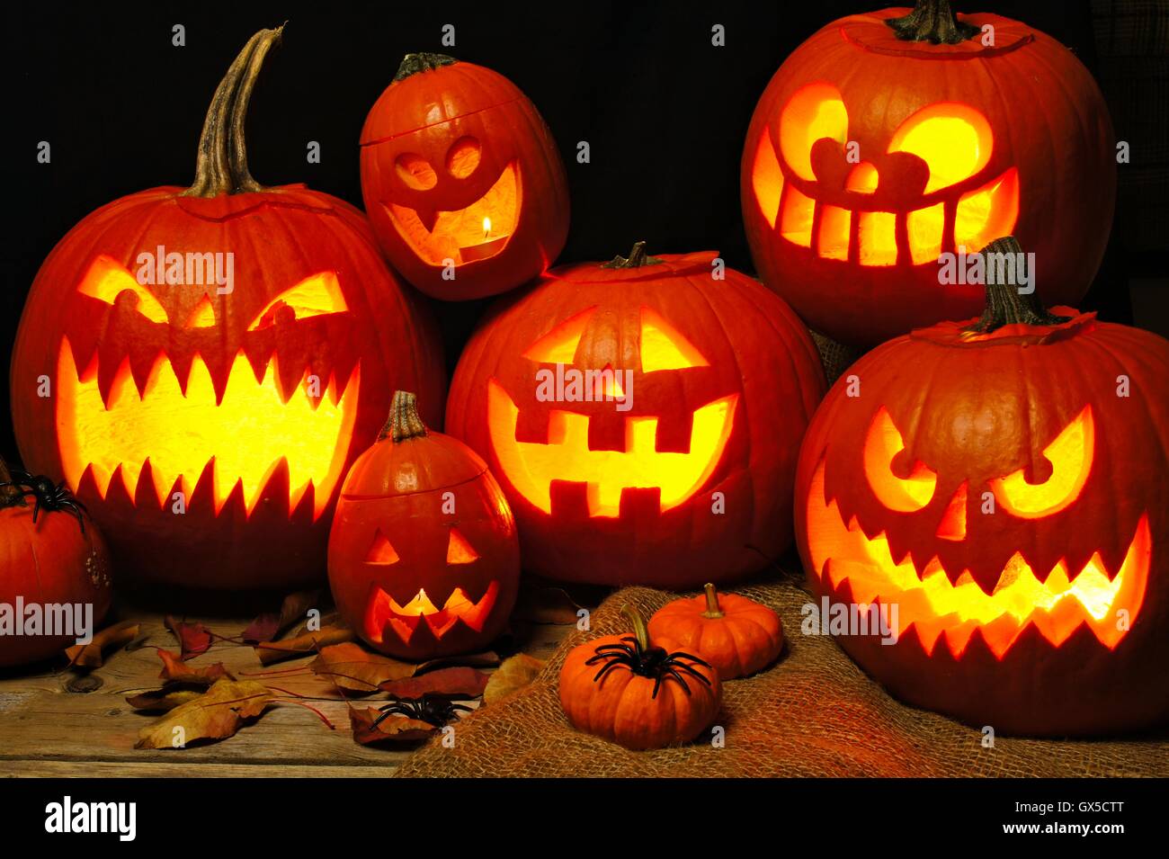 Halloween-Nacht-Szene mit einer Gruppe von spooky beleuchtet Jack-o-Laternen Stockfoto