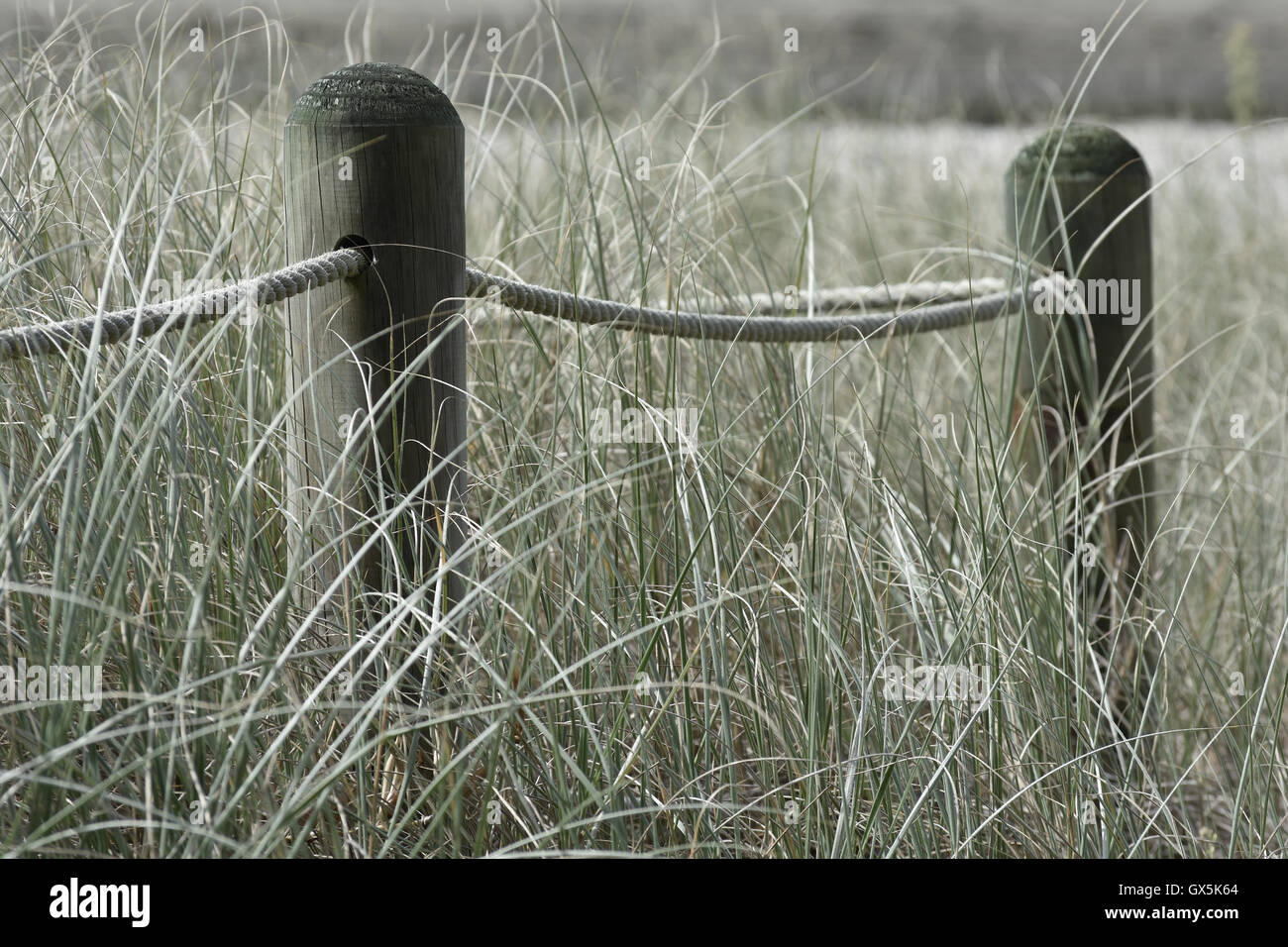 Seil-Zaunpfosten in hohe Gräser Stockfoto