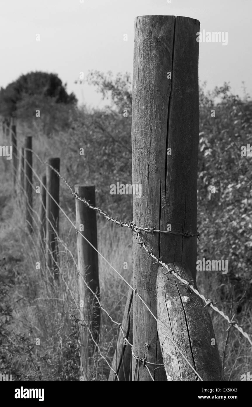 Natur in Großbritannien Stockfoto
