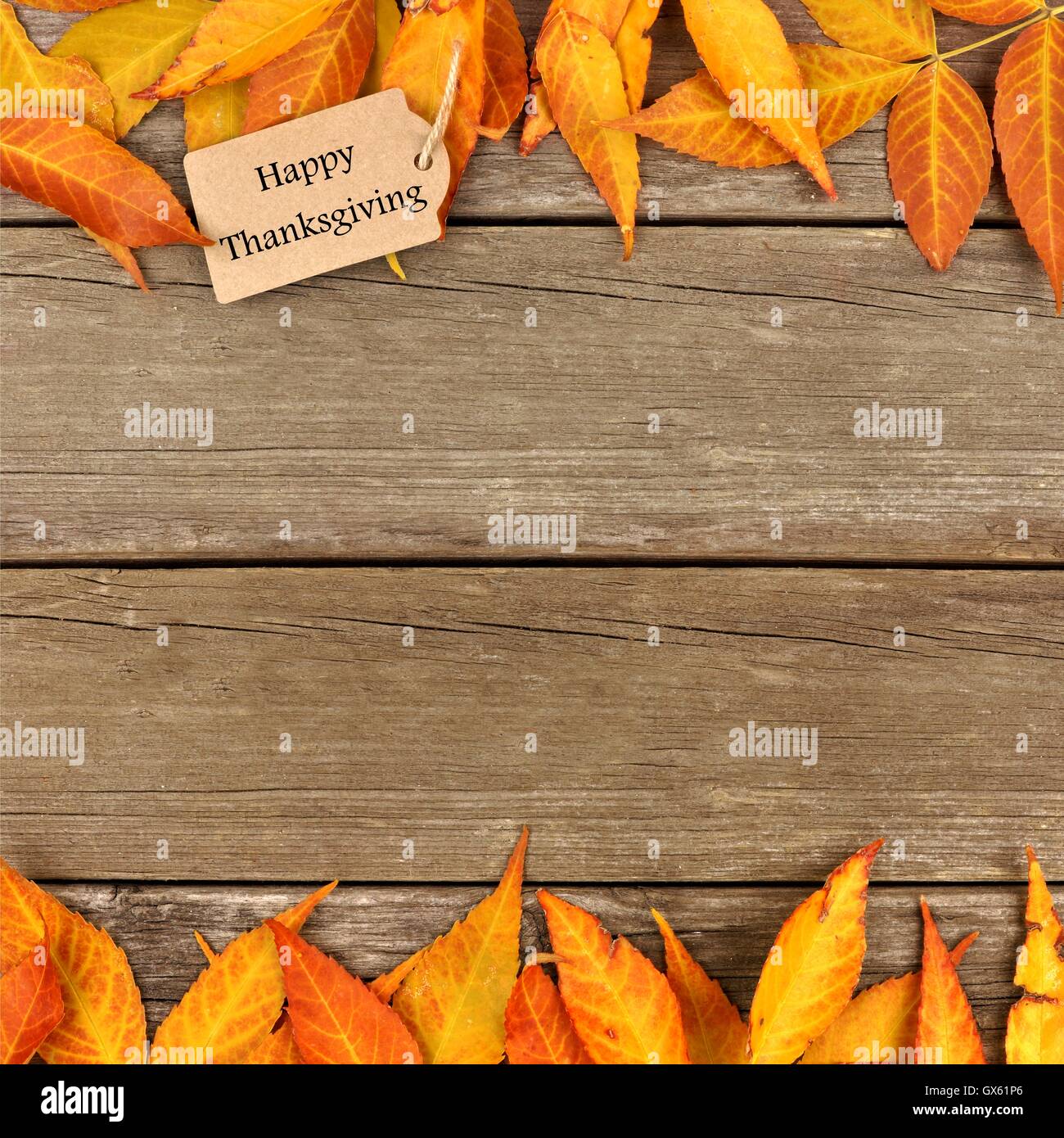 Happy Thanksgiving Geschenkanhänger mit Doppelrand von bunten Herbst Blätter auf einem rustikalen hölzernen Hintergrund Stockfoto