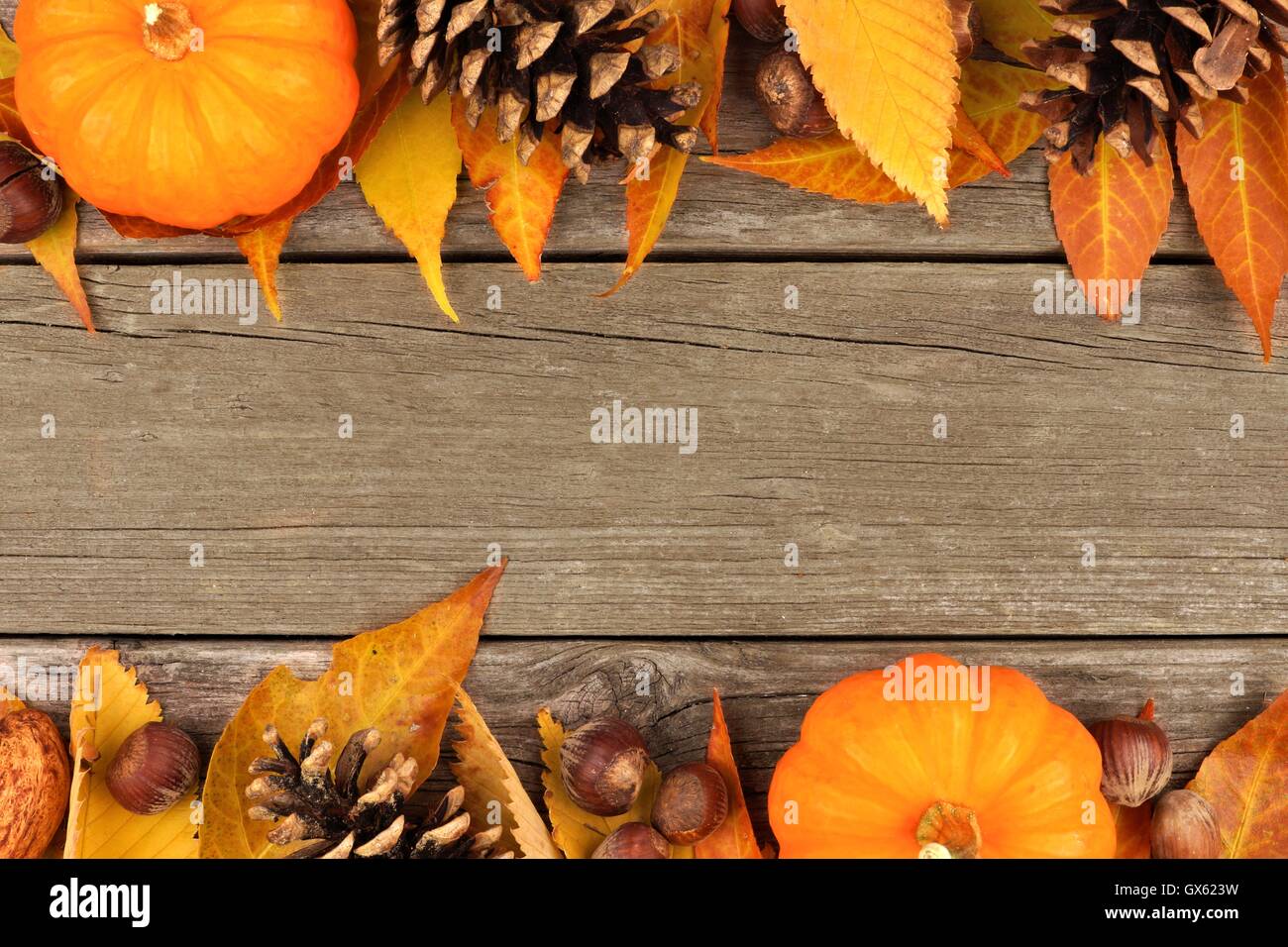 Herbst doppel Grenze der Kürbisse, die Blätter und die Muttern auf ein rustikales Holz- Hintergrund Stockfoto