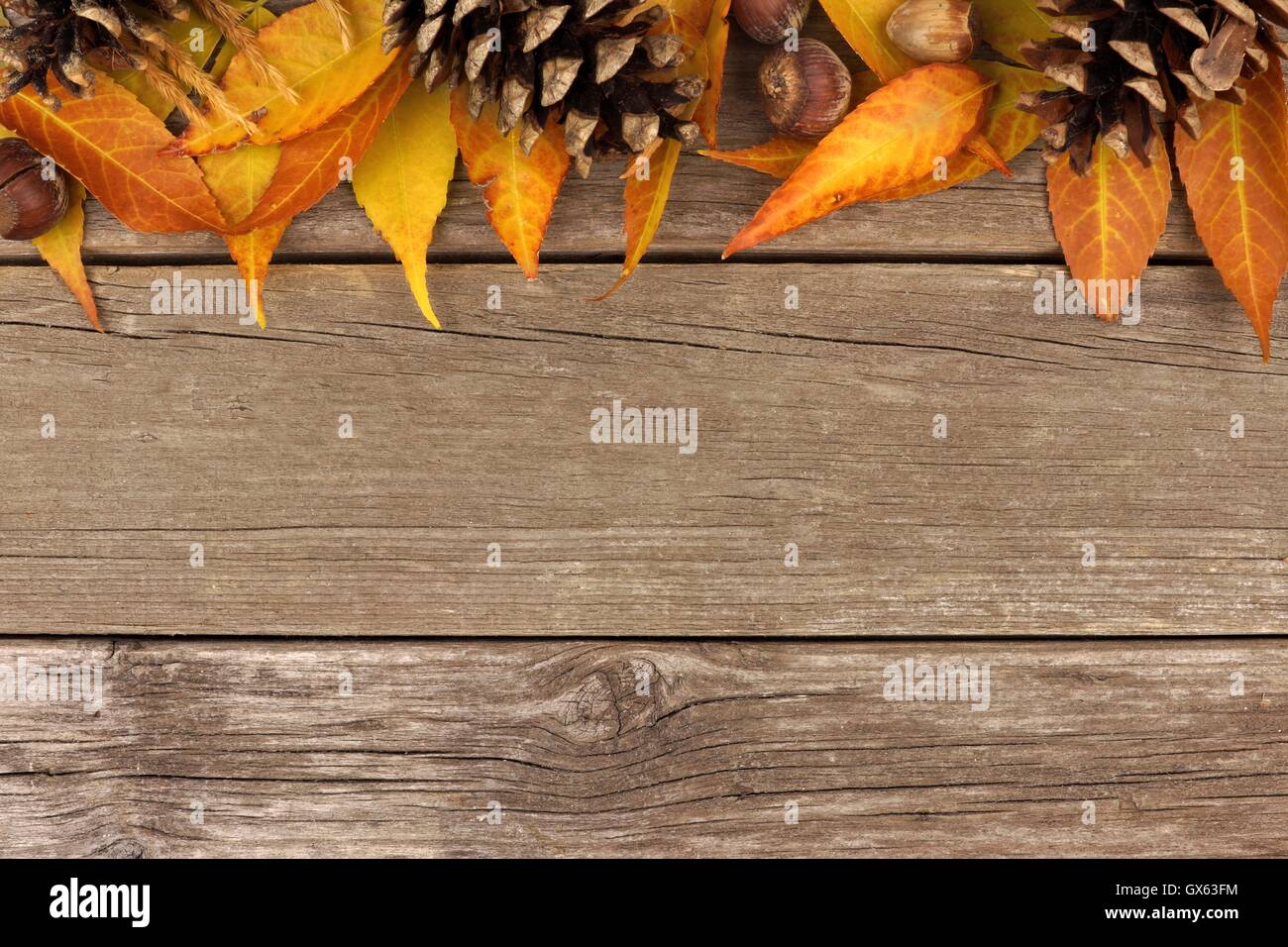 Herbst oberen Rand von bunten Blättern und Tannenzapfen vor einem rustikalen Holz Hintergrund Stockfoto