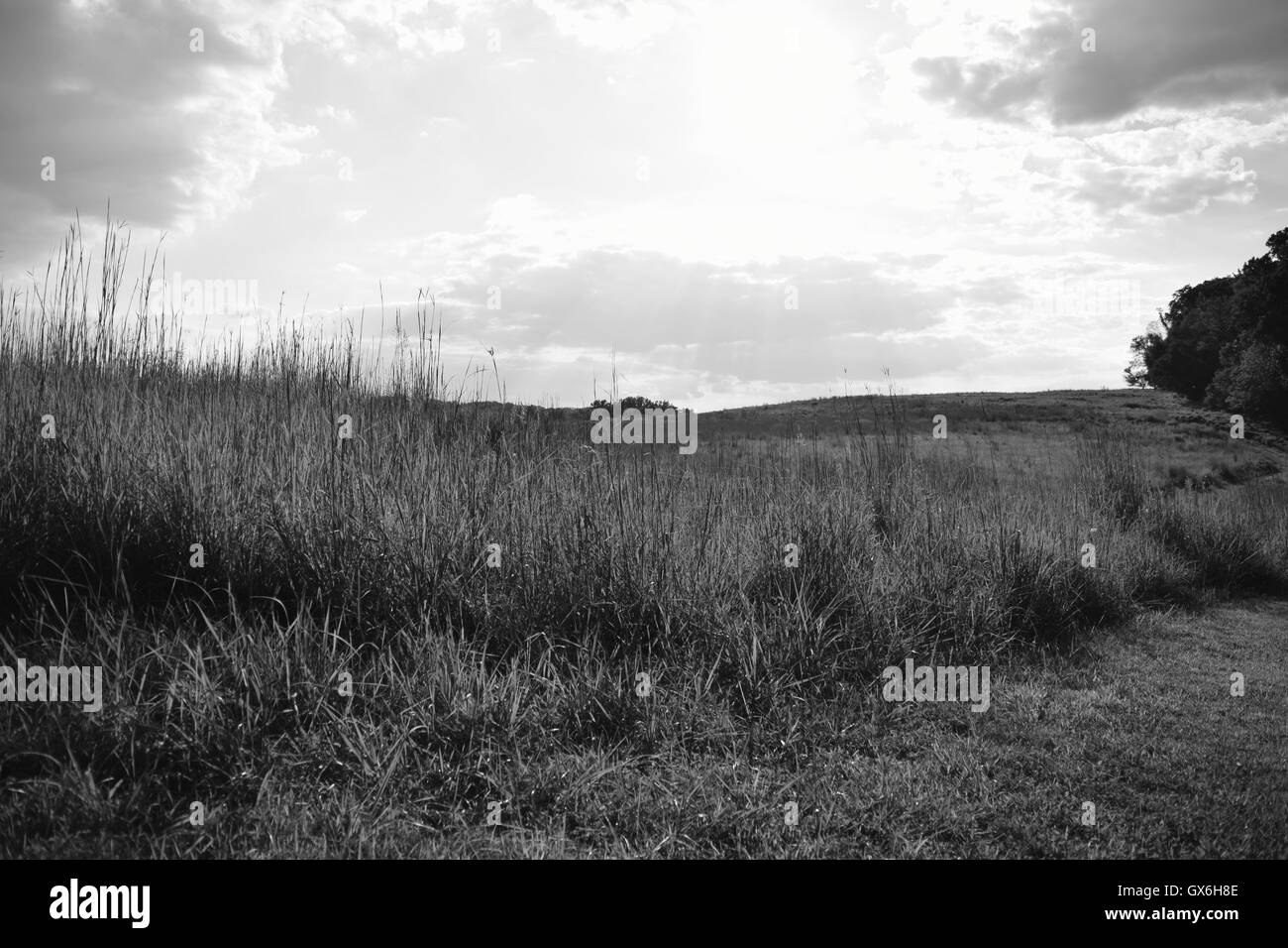 Spaziergang in der Abenddämmerung Stockfoto