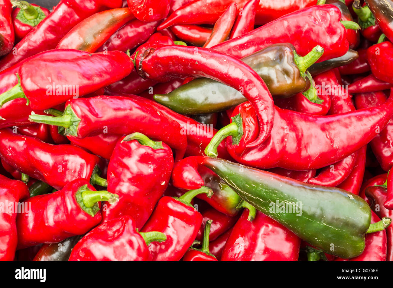 Italienische Paprika auf dem Markt Stockfoto