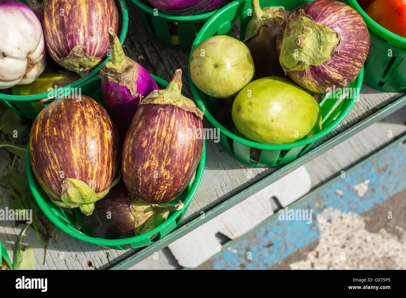 Udumalpet Auberginen auf dem lokalen Markt Stockfoto