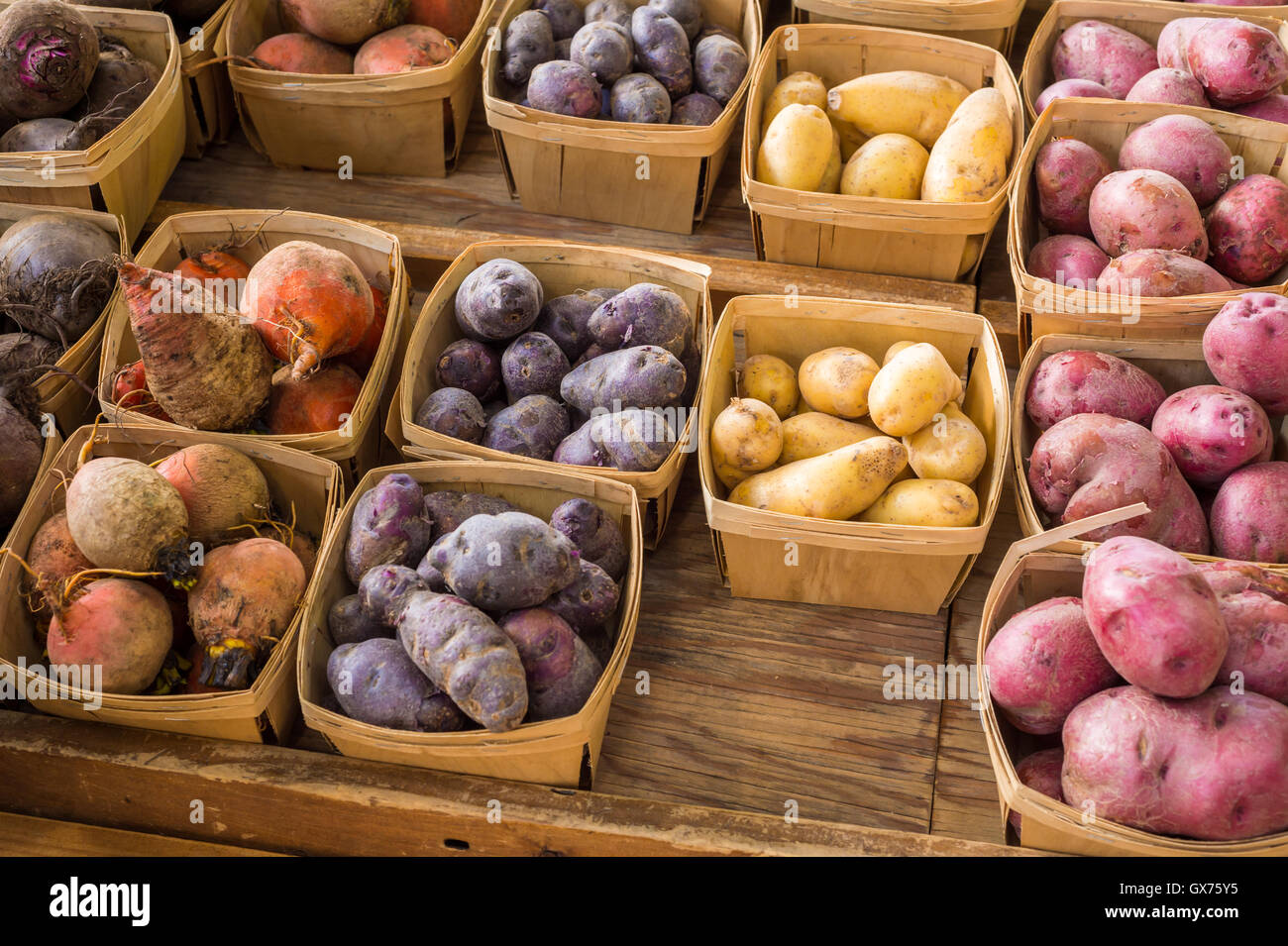 Verschiedene Arten von Erbstück Kartoffeln auf dem Markt Stockfoto