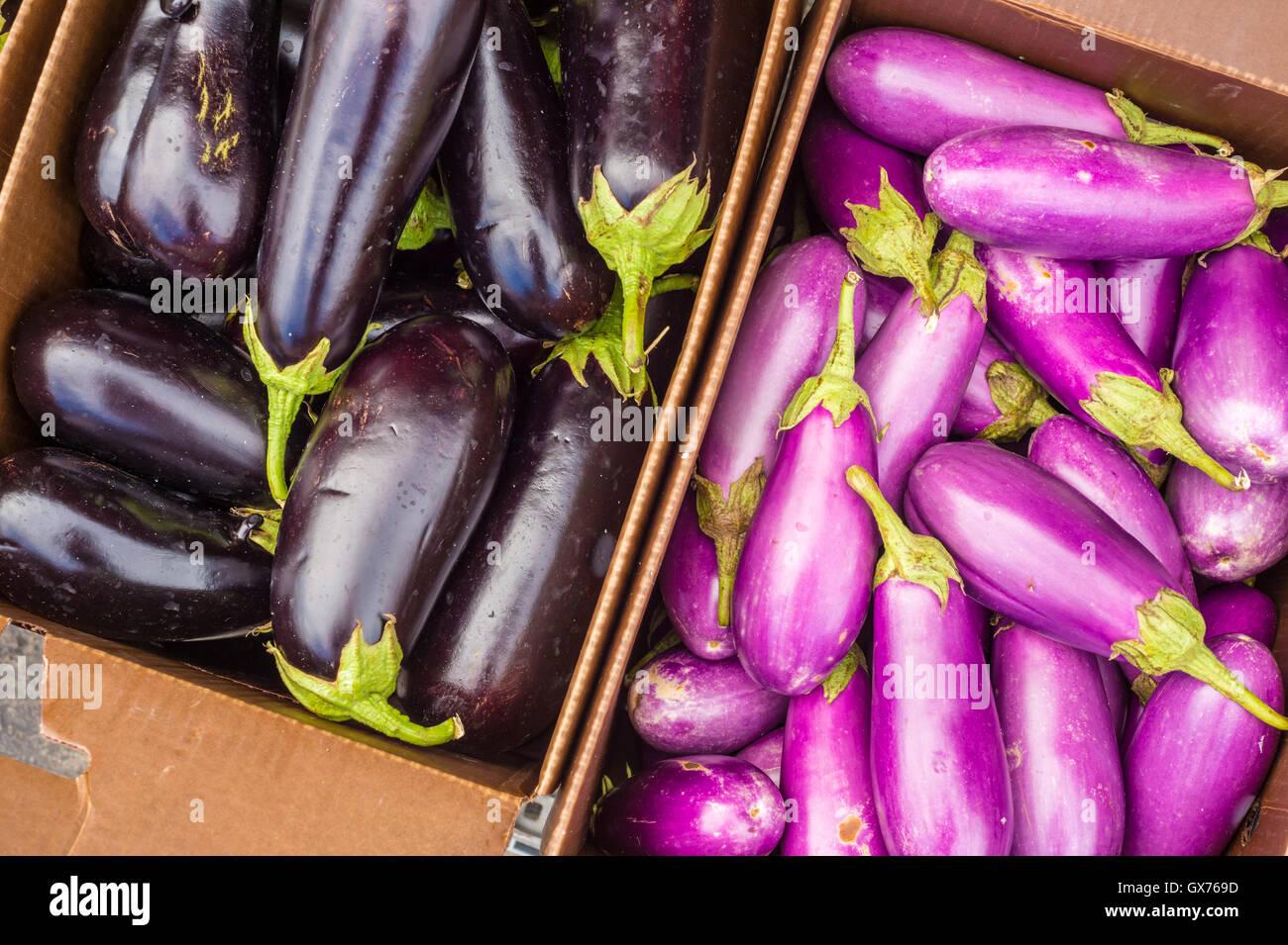 Schwarz und violett Auberginen auf dem Markt Stockfoto