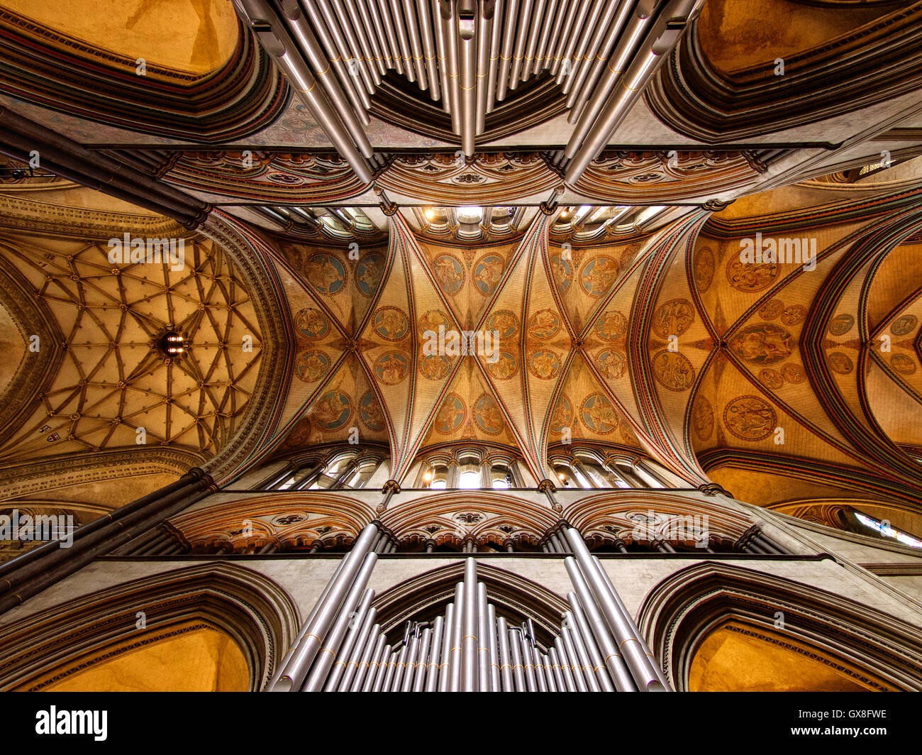 Decke des Kirchenschiffes der Kathedrale von Salisbury mit Orgel, Salisbury, England Stockfoto