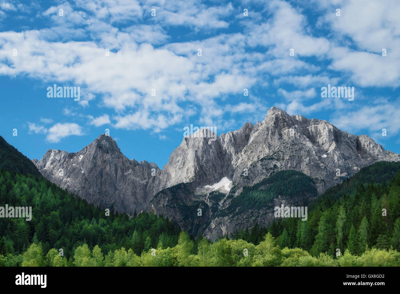 Blick auf die Julischen Alpen von Kranjska Gora in Slowenien Stockfoto