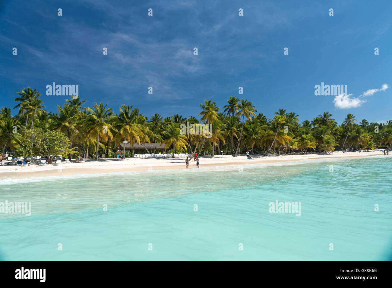 Traumstrand auf der karibischen Insel Isla Saona, Parque Nacional del Este, Dominikanische Republik, Karibik, Amerika, Stockfoto
