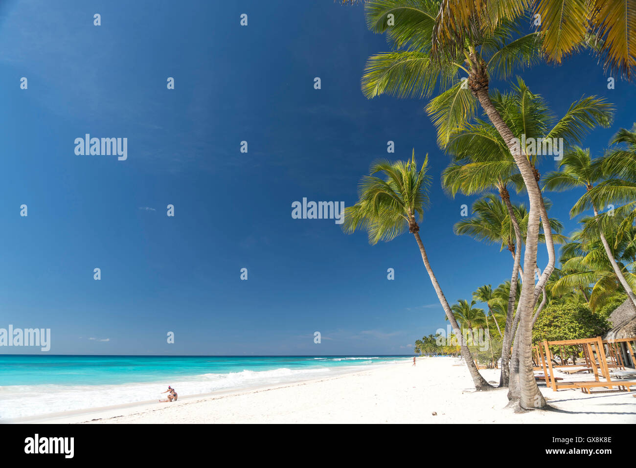 Traumstrand auf der karibischen Insel Isla Saona, Parque Nacional del Este, Dominikanische Republik, Karibik, Amerika, Stockfoto