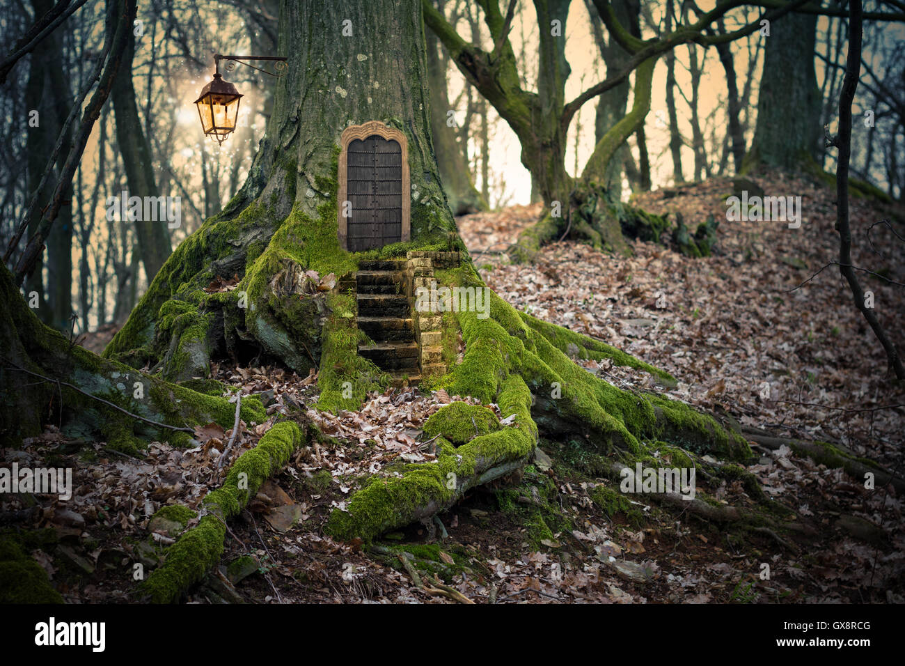 magische Feenwald Stockfoto