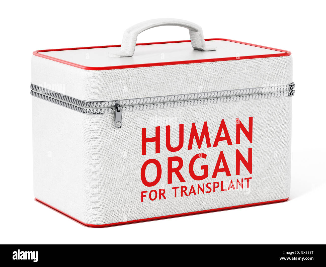 Menschliches Organ Transplantation Box. 3D Illustration. Stockfoto