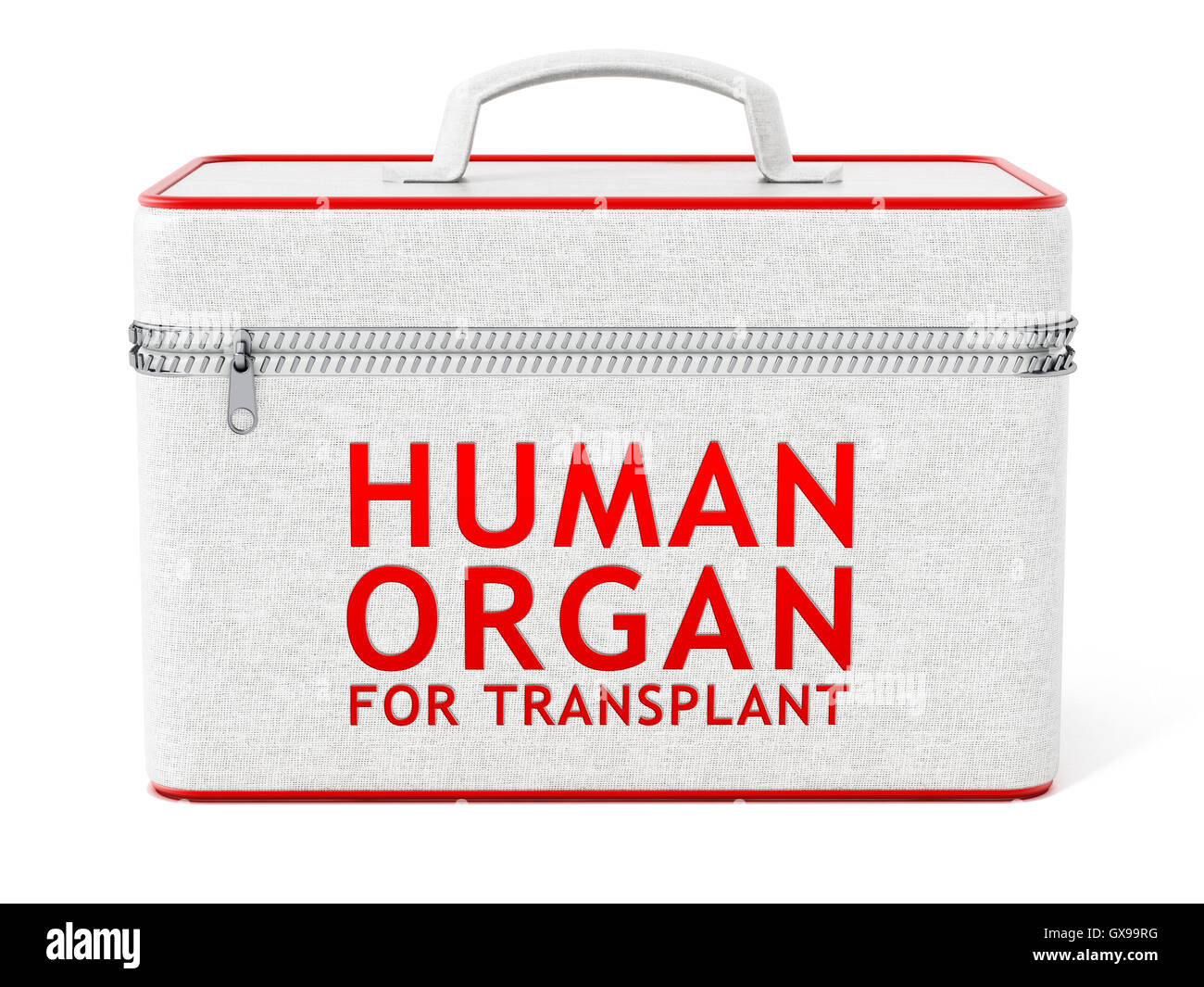 Menschliches Organ Transplantation Box. 3D Illustration. Stockfoto