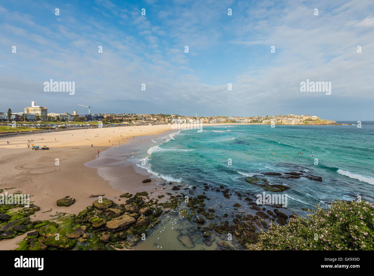 Breite Schuss von Bondi Beach - östlichen Vororten von Sydney, Australien Stockfoto