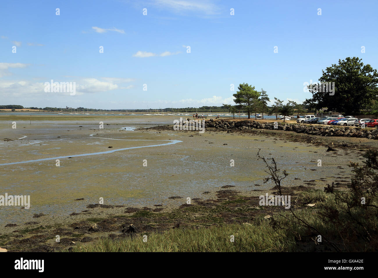 Ebbe am Fluss la Marle aus Ile de Conleau, Vannes, Morbihan, Bretagne, Frankreich Stockfoto