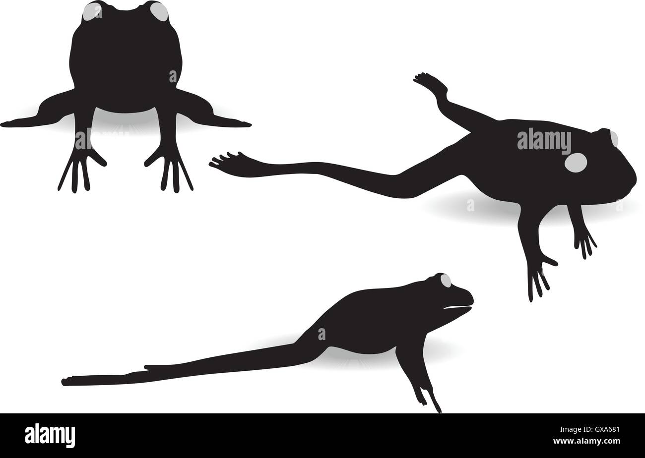 10 EPS-Vektor-Illustration des Frosches auf weißem Hintergrund Stock Vektor