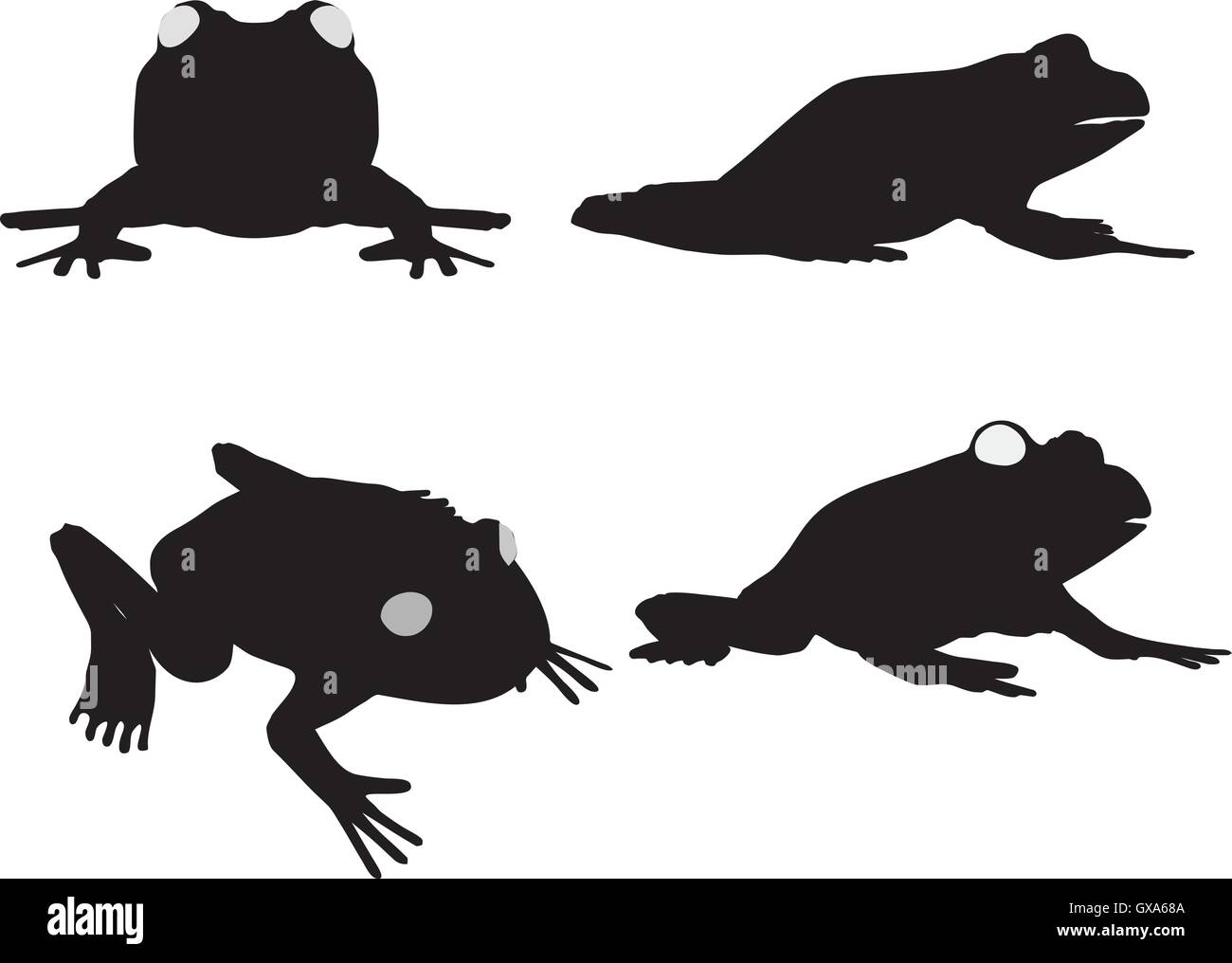 10 EPS-Vektor-Illustration des Frosches auf weißem Hintergrund Stock Vektor