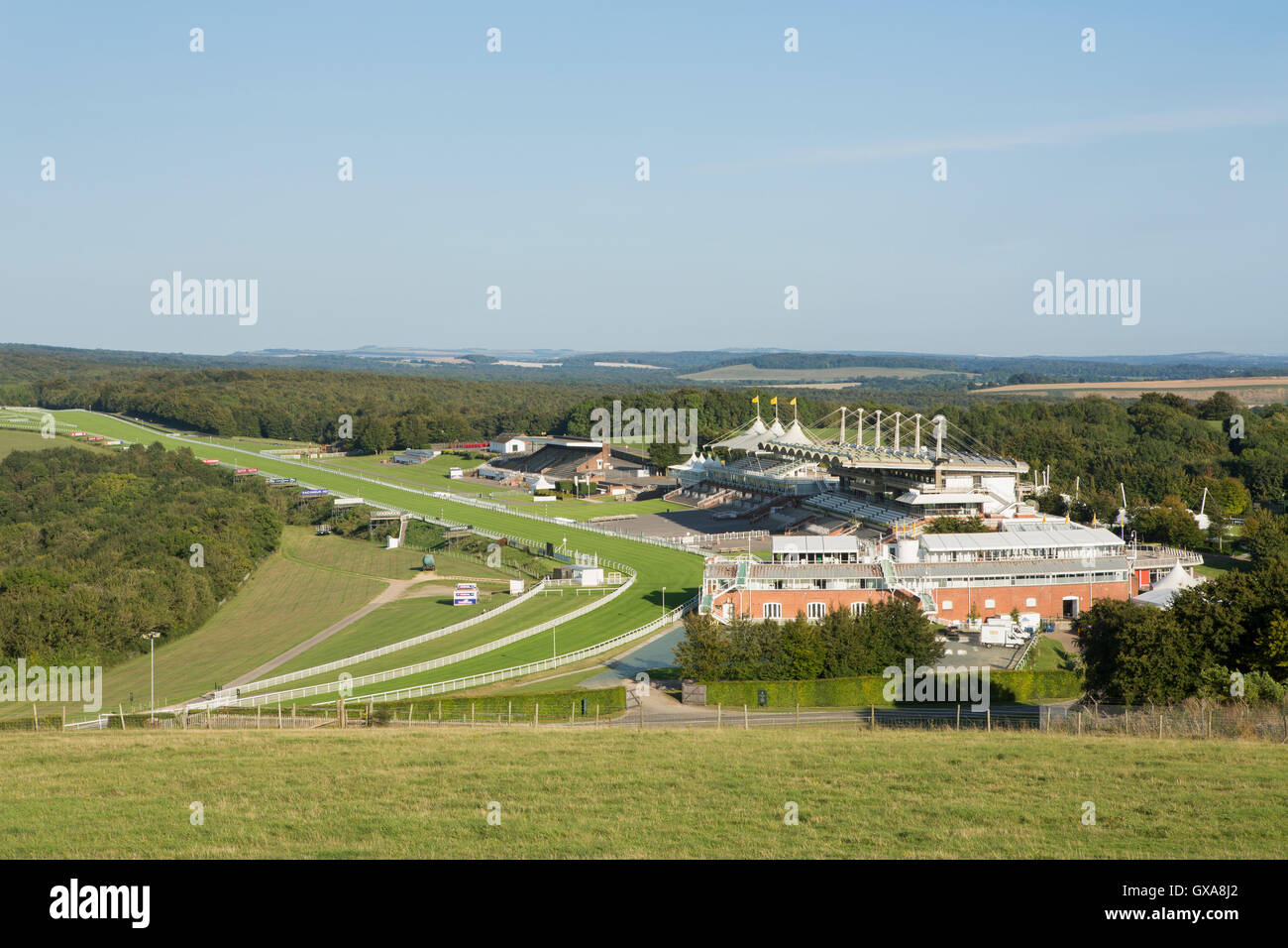 Goodwood-Rennbahn in der South Downs West Sussex. Blick auf den leeren Tribünen an einem Sommertag. Stockfoto