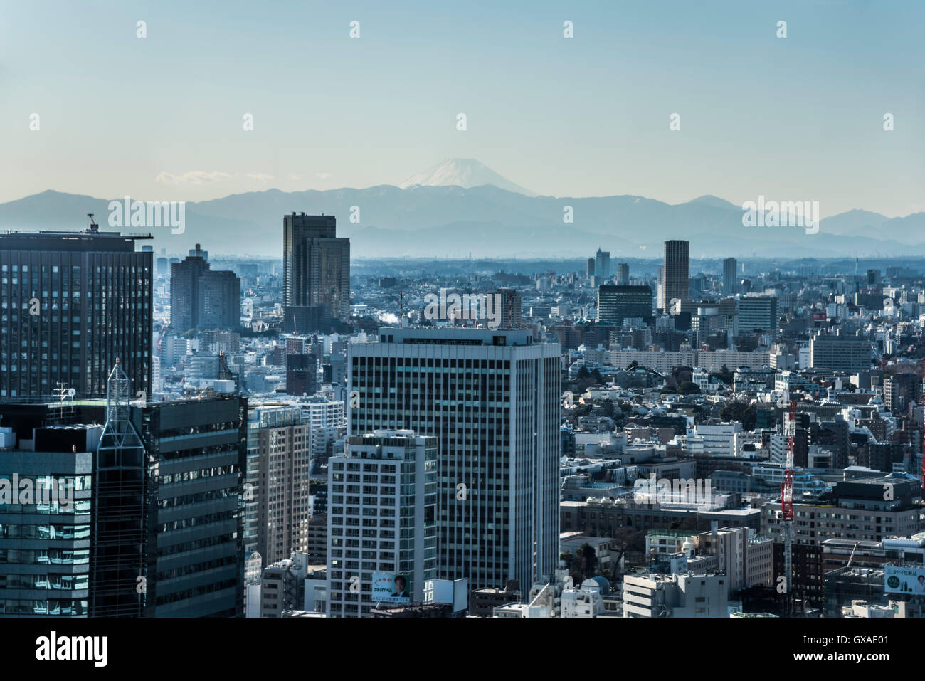 Mt. Fuji, Ansicht von Minato-Ku, Tokyo, Japan Stockfoto