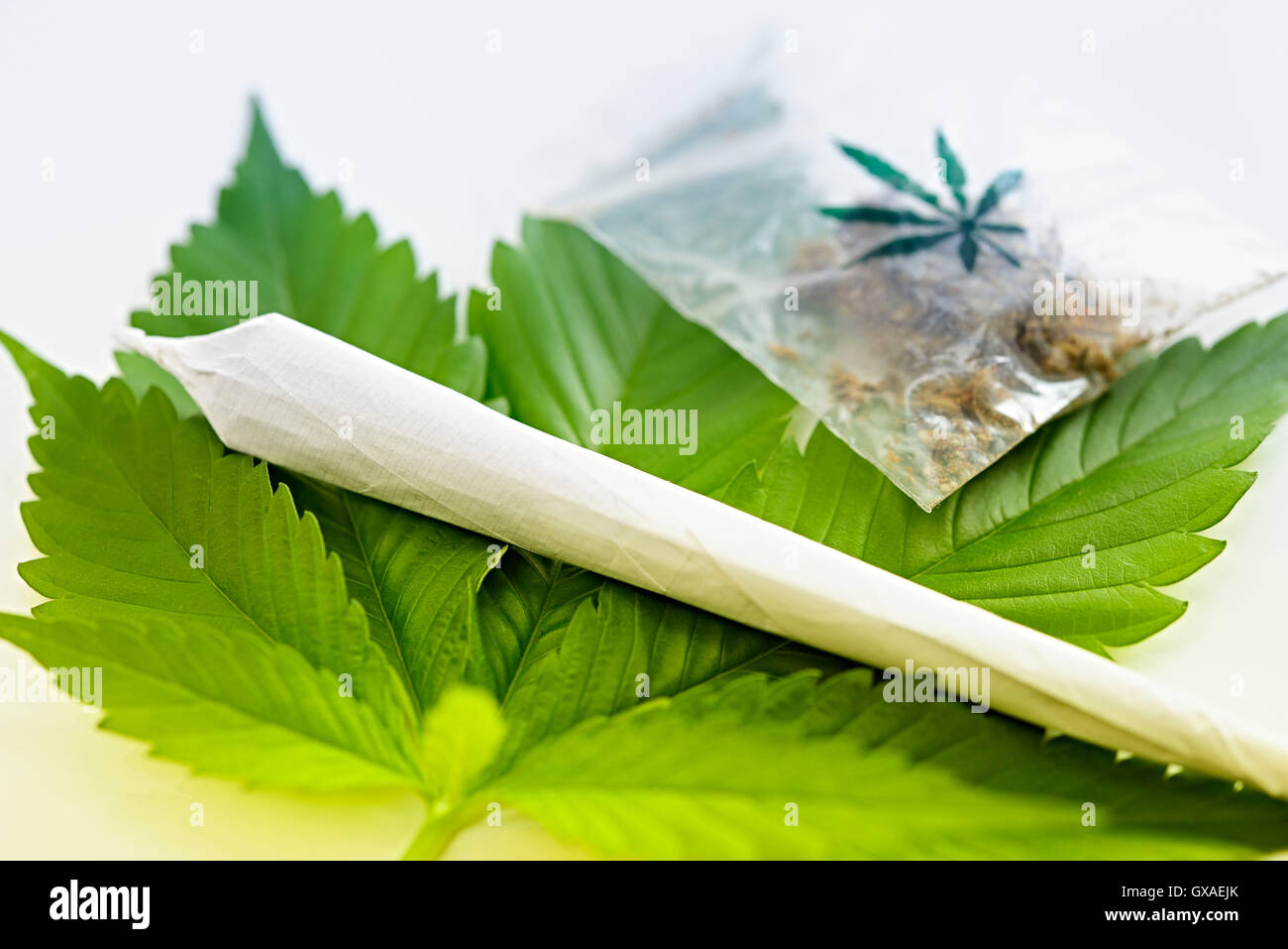 Gemeinsame Auf Hanfblatt, Marihuana Stockfoto