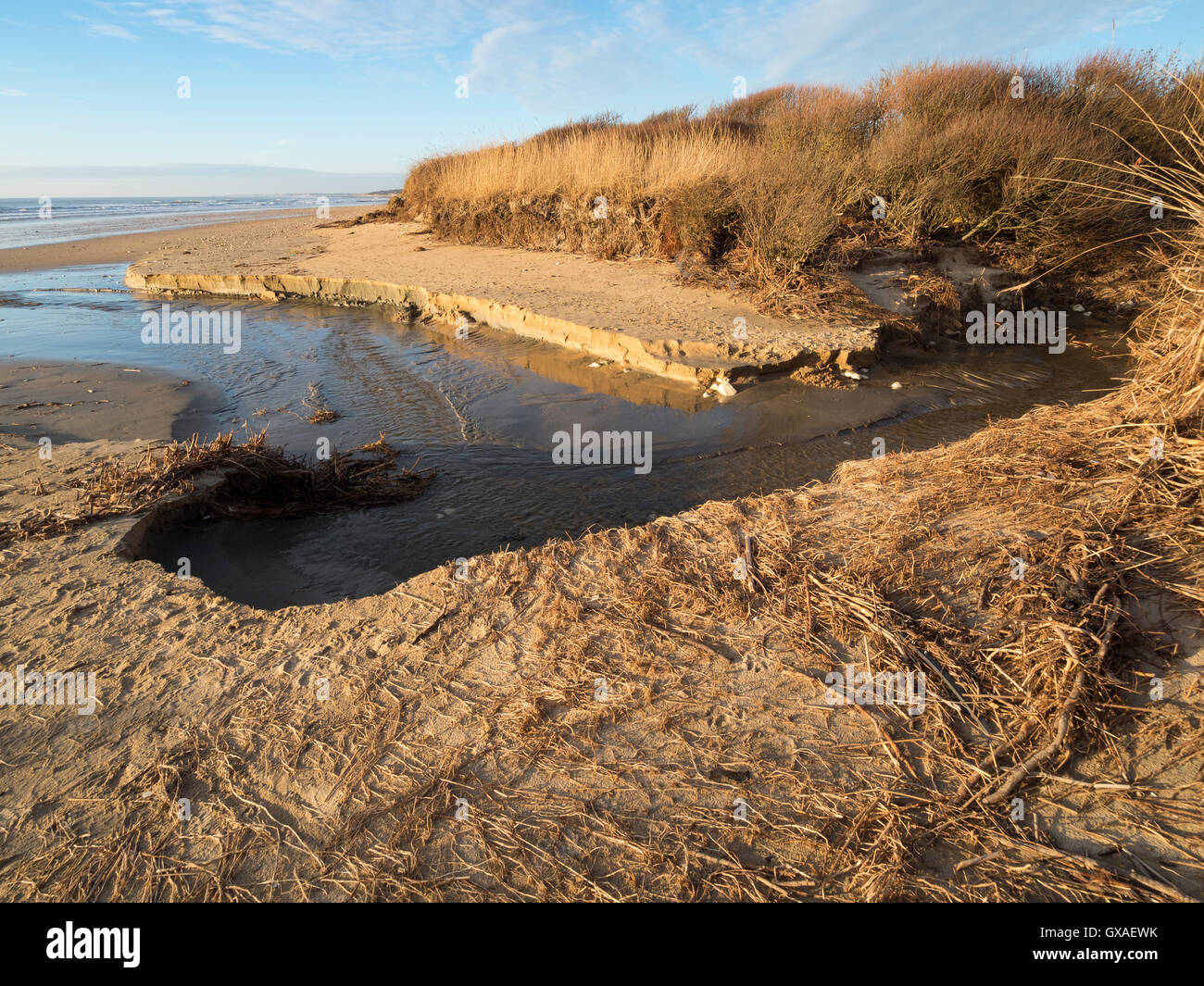 Anstieg des Grundwassers nach Zerstörung der Küstendüne. Stockfoto