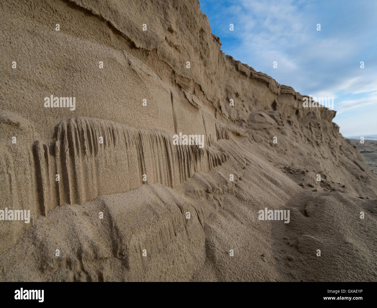 Erosion der Küsten Sand Düne unter dem Einfluss von Sturm und Wind. Stockfoto