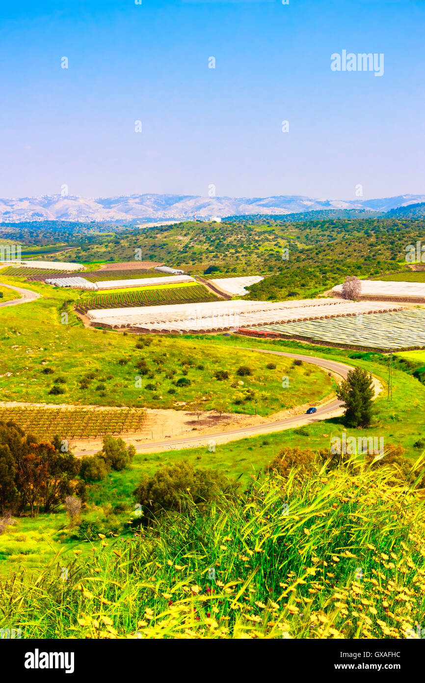 Landschaft mit Blick auf Wiesen, Felder, Himmel und landwirtschaftlichen Roboter Stockfoto