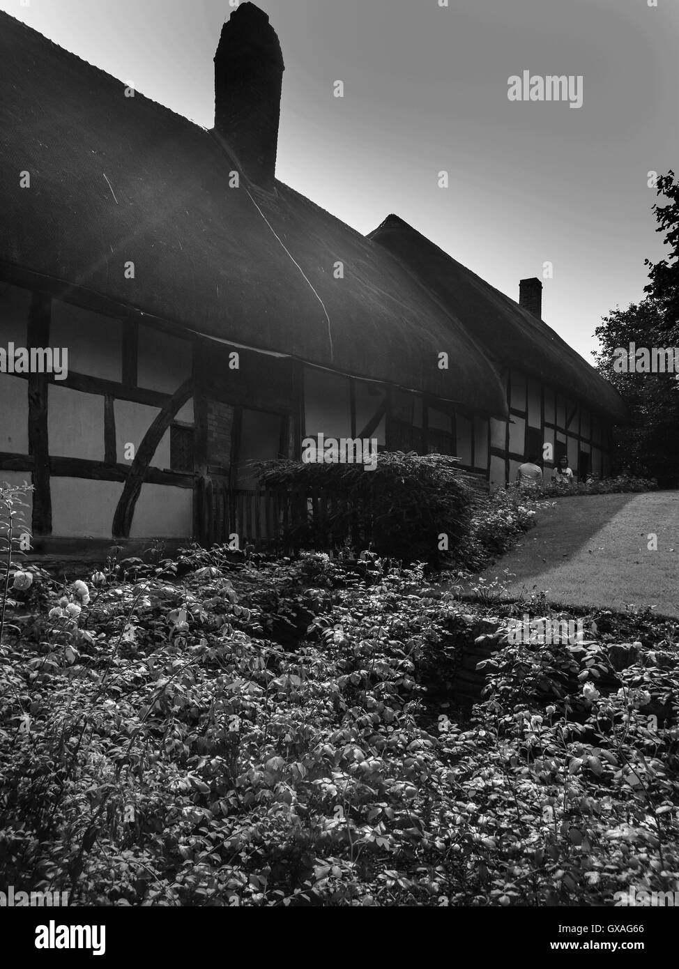 Ann Hathaways cottage Stockfoto