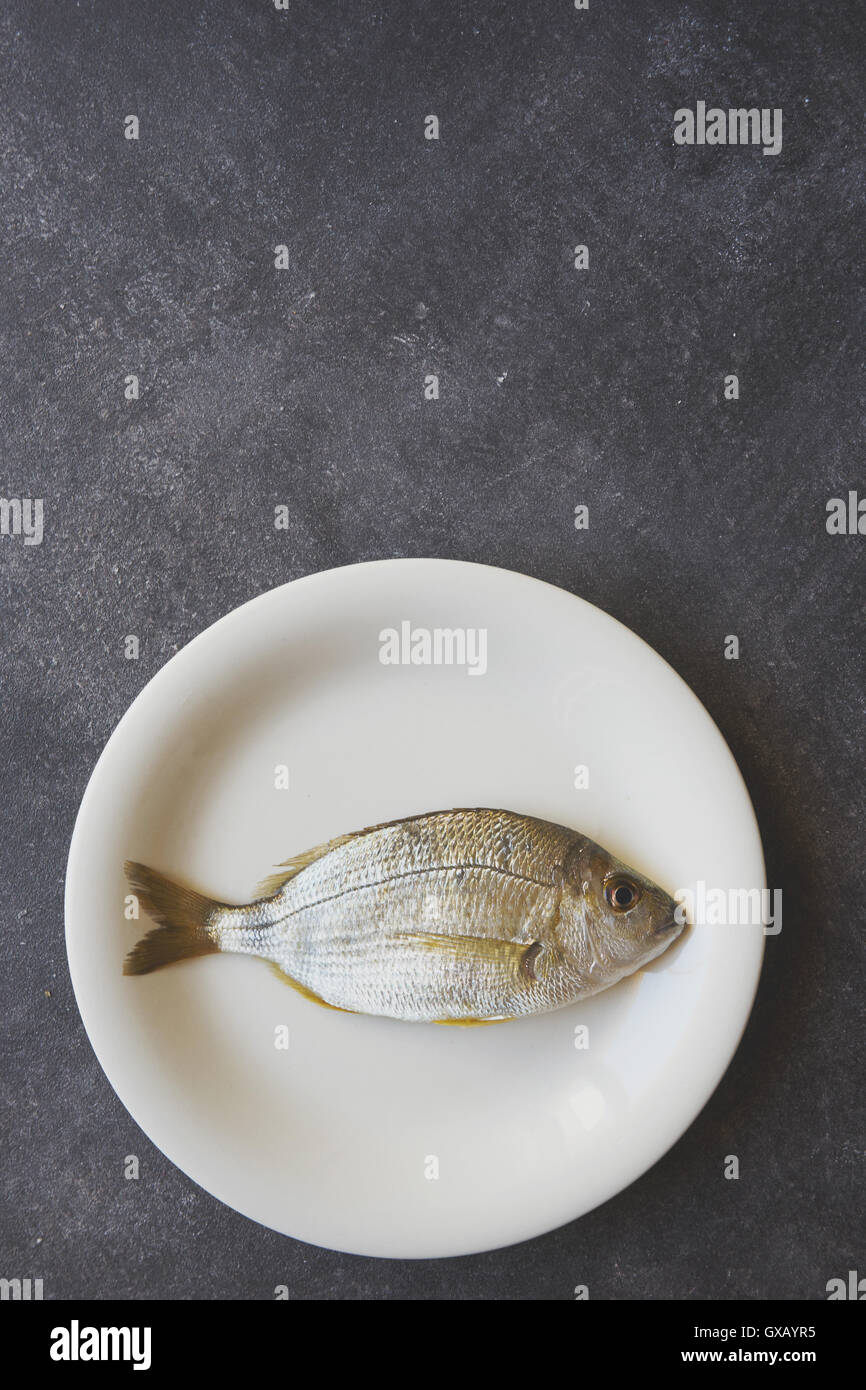 Fisch auf einem weißen Teller auf Zement-Hintergrund Stockfoto