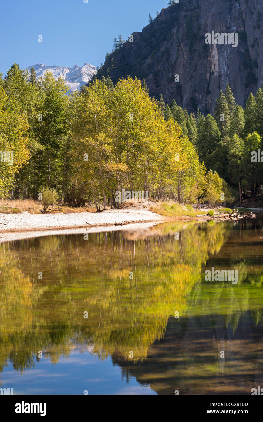 Herbstliche Bäume flankieren die Merced River im Yosemite Valley, Kalifornien, USA. Herbst (Oktober) 2014. Stockfoto