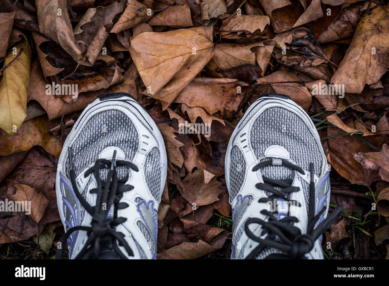 Blatt Herbstfärbung gesehen unter den Füßen in einem Park in London, UK. Stockfoto
