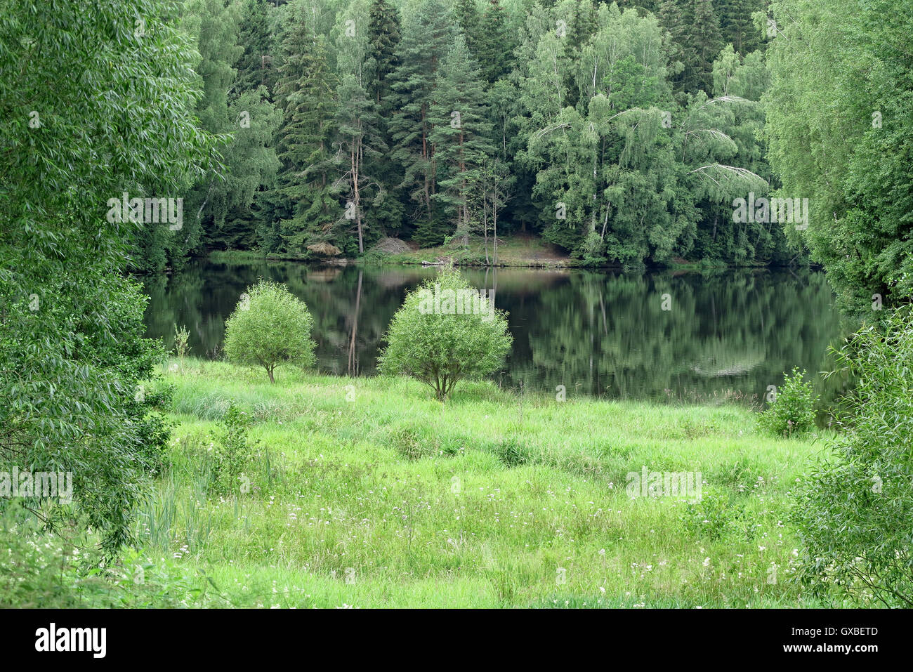 Wasserfläche des Sees im Wald Stockfoto