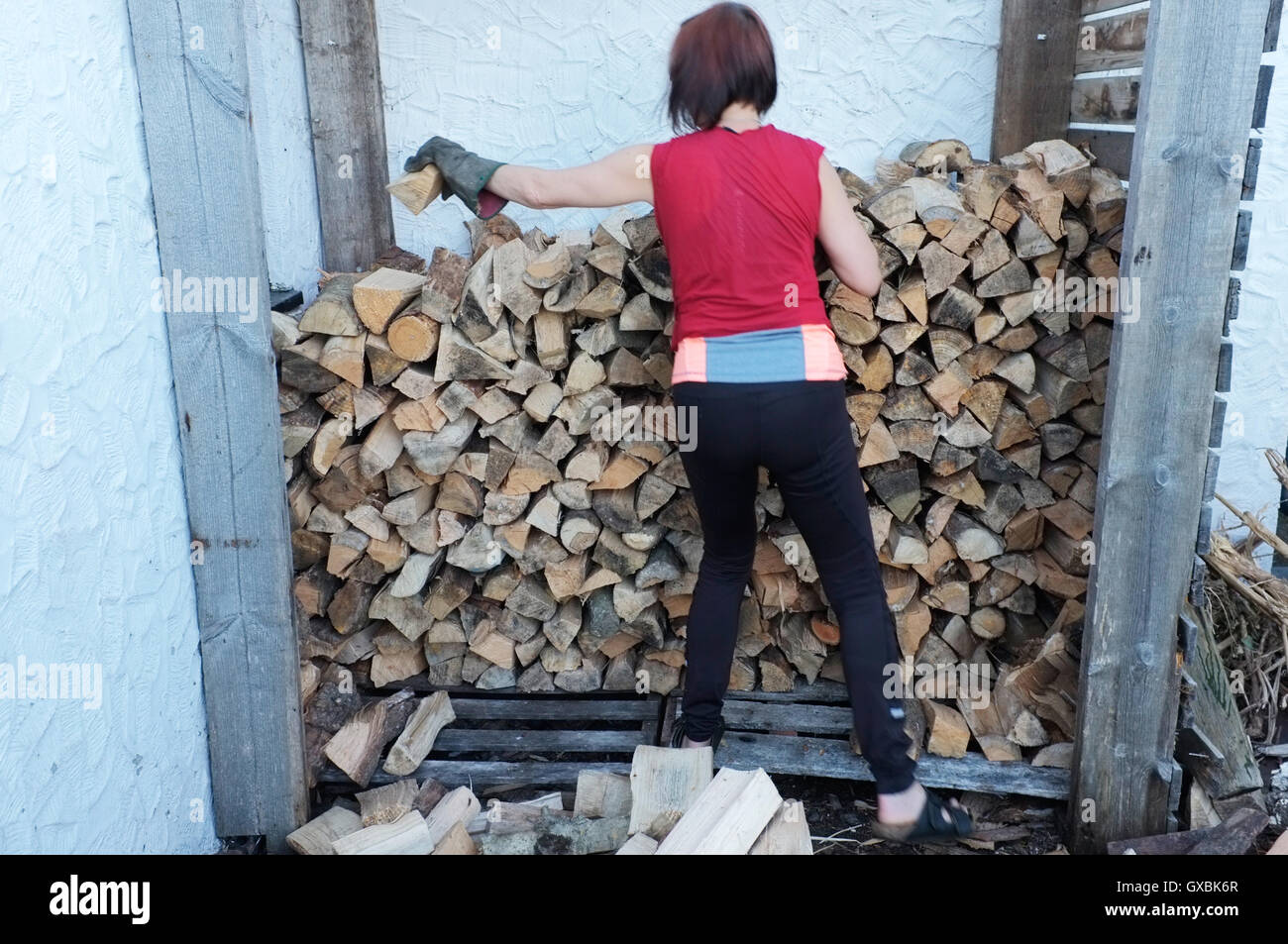 Eine Frau stapelt Holz für Winter Kraftstoff. Stockfoto