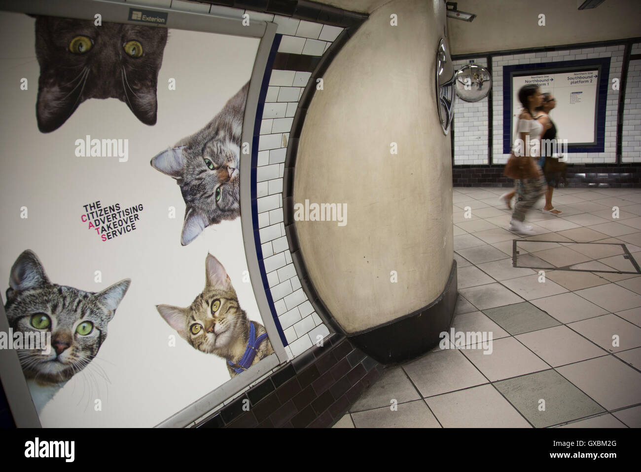 Katzen, die nicht anzeigen-Kampagne zur u-Bahnstation Clapham Common die erste Kampagne organisiert von Blick, eine offene und freiwillige Kollektiv für kreative Menschen, Bürger Werbung Übernahme Service Katzen am 13. September 2016 in London, Vereinigtes Königreich ist. Eine erfolgreiche Kickstarter-Kampagne lief, um Dutzende von Anzeigen an u-Bahnstation Clapham Common, mit Bildern von Katzen zu ersetzen. Die Idee war, helfen Menschen denken ein wenig anders über die Welt um sie herum, und lassen Sie sich inspirieren, Dinge zum besseren zu verändern. Stockfoto