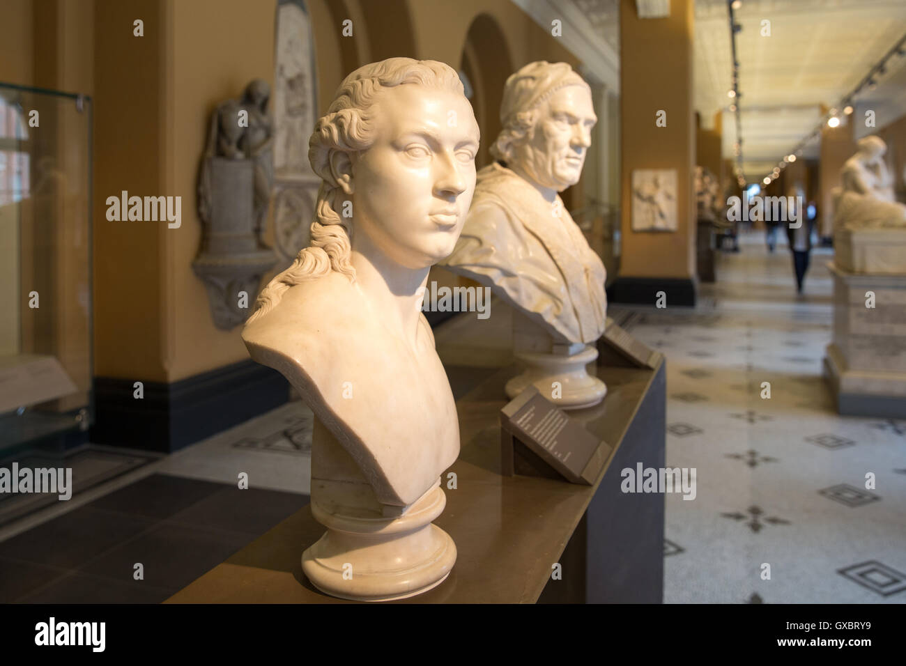 Büsten im V & A Museum in London. Stockfoto