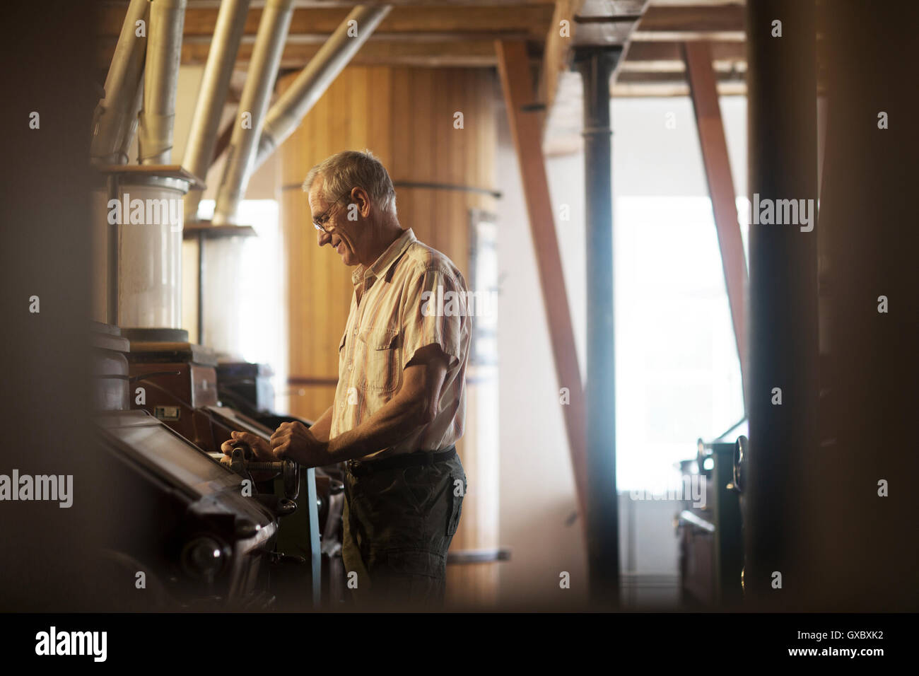 Männliche Miller Maschine bei Weizen-Mühle in Betrieb Stockfoto
