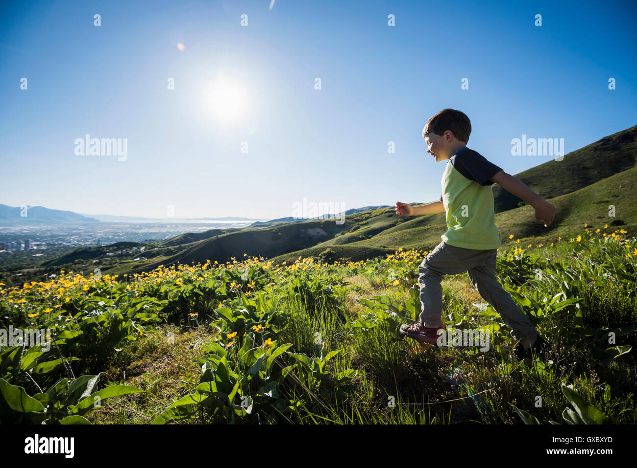 Junge im Feld, Bonneville Shoreline Trail am Fuße der Wasatch über Salt Lake City, Utah, USA Stockfoto