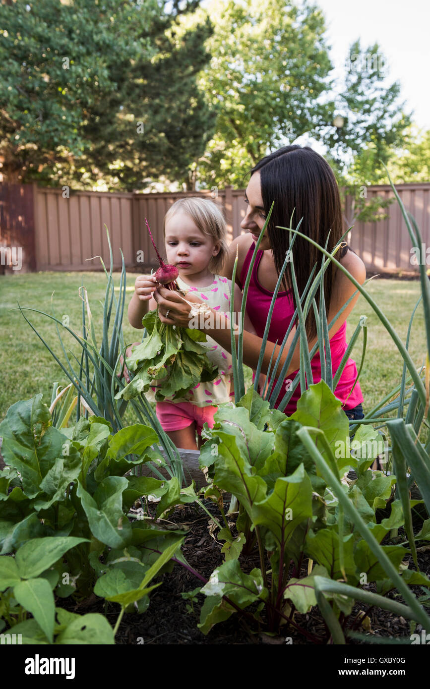 Mutter und junge Tochter tendenziell Garten Stockfoto